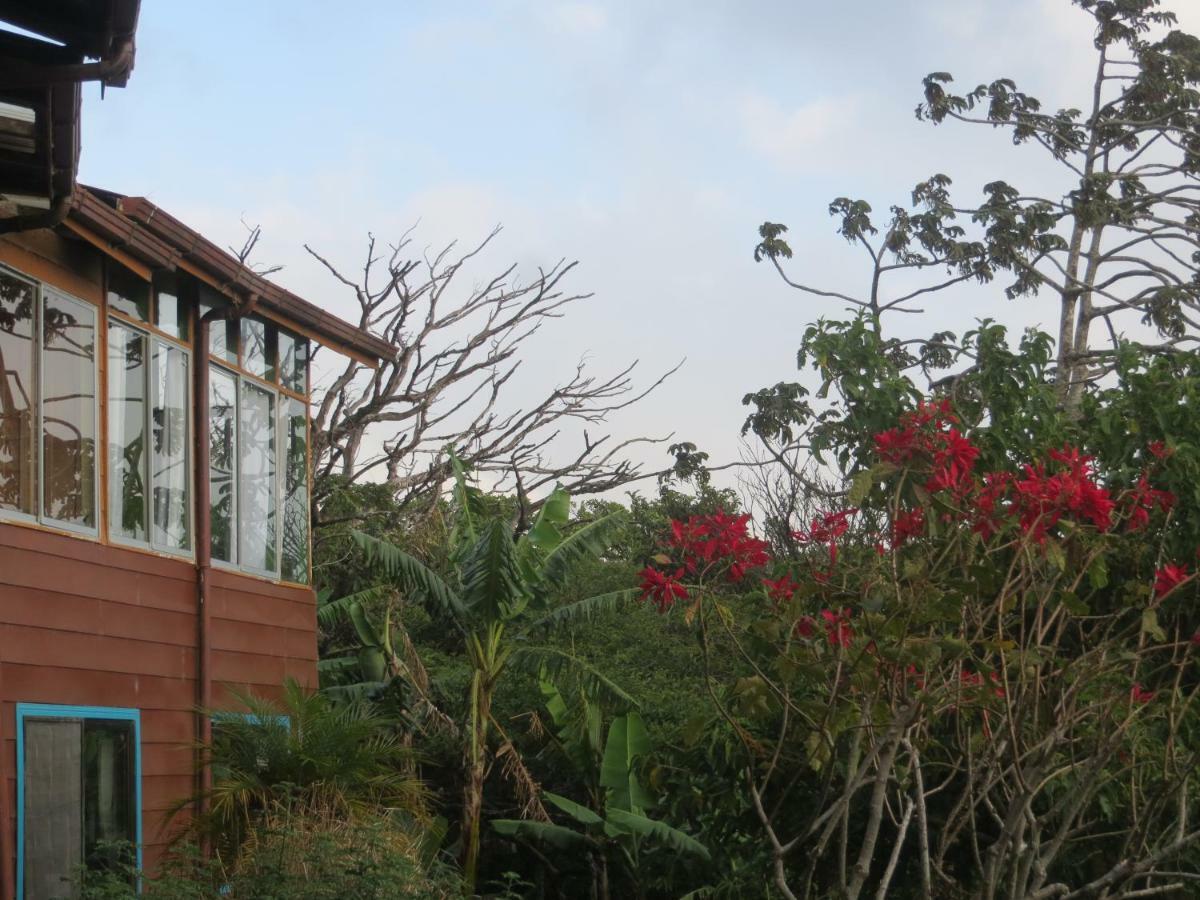 Apartamento Artesana Monteverde 외부 사진